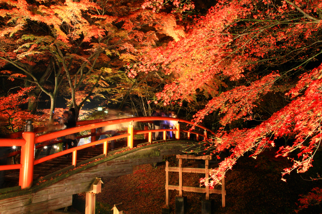 お風呂上がりに紅葉のライトアップが楽しめる！秋に行きたい温泉地5つ