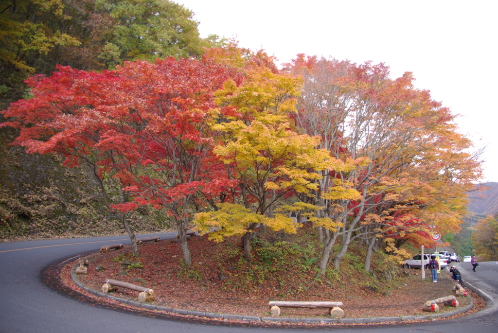 2016年紅葉 栃木 いろは坂の見頃 混雑状況を教えて ゆこたび