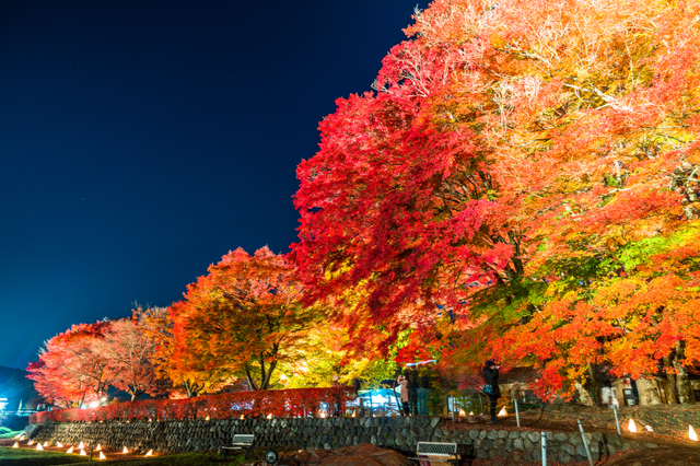 17年紅葉 山梨 河口湖の紅葉の見頃 混雑状況を教えて ゆこたび