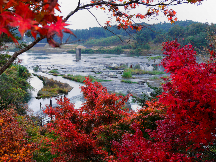 鹿児島県温泉旅行で行きたい紅葉スポット ゆこたび