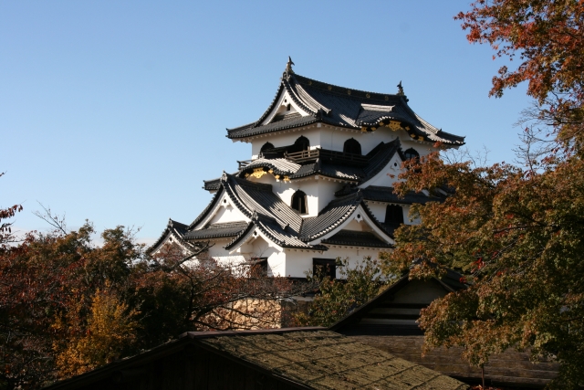 滋賀県の温泉地周辺で紅葉がきれいな場所