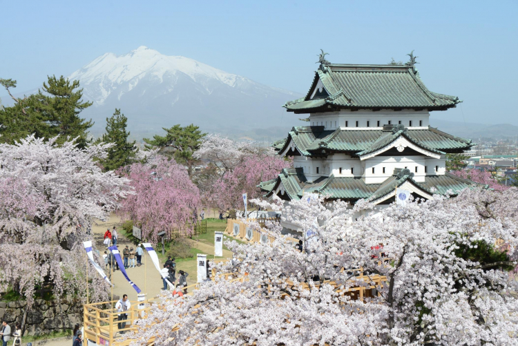 青森県の花の名所と温泉でリフレッシュ