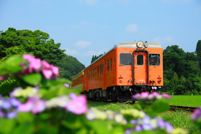 鉄道で巡る千葉県の絶景観光スポット2選