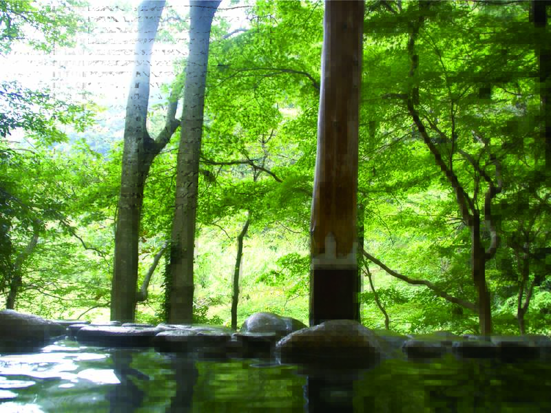秋の香川を満喫できるスポットと温泉地