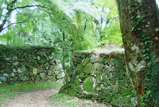 奈良の知られざるパワースポット 山城をめぐる旅 ゆこたび