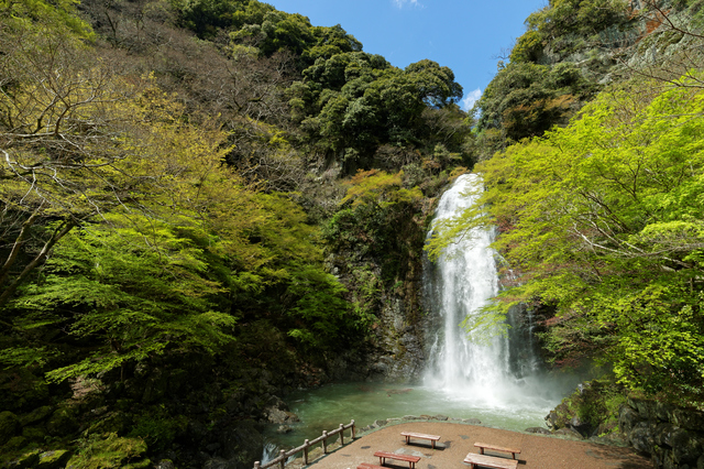 大阪府の隠れた観光スポット！涼を求めて滝の名所へ