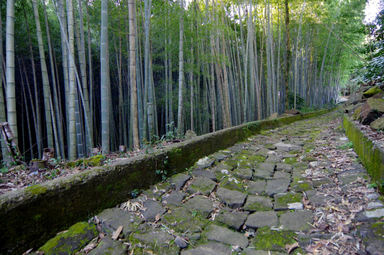 文豪の歴史を辿る旅！熊本県は漱石の縁の地