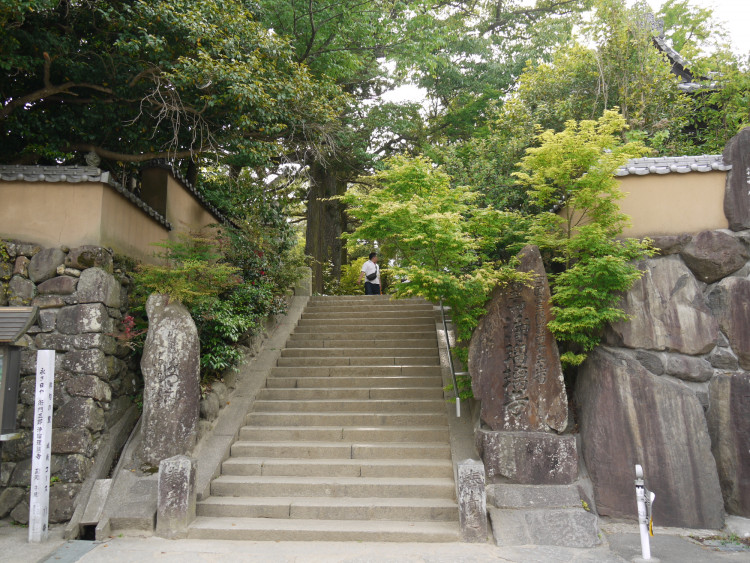 愛媛県で有名なパワースポットの神社 仏閣 ゆこたび