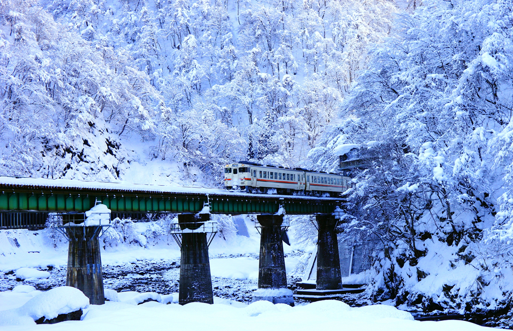 美しい雪景色