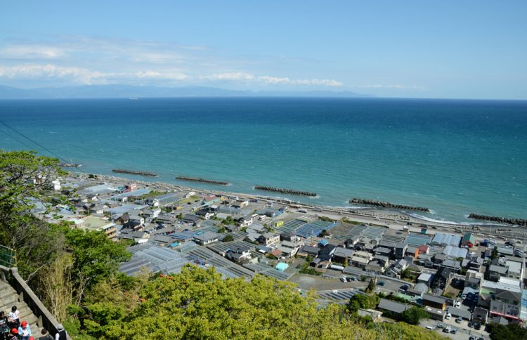 静岡 久能海岸で 今が旬の石垣いちご狩りへ出かけよう ゆこたび