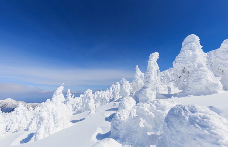 ロープウェイで気軽に行ける 蔵王の雪原を埋め尽くす 樹氷 を見に行こう ゆこたび