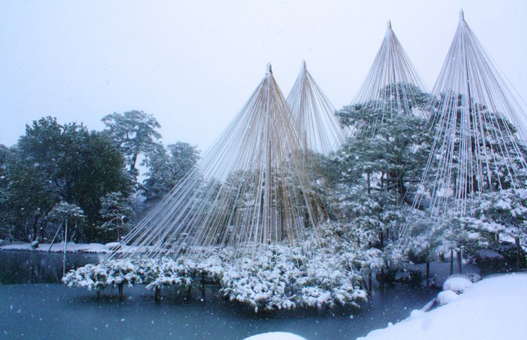 冬の金沢へ行こう！雪吊りに海鮮グルメまで楽しめる、おすすめコースはコレ