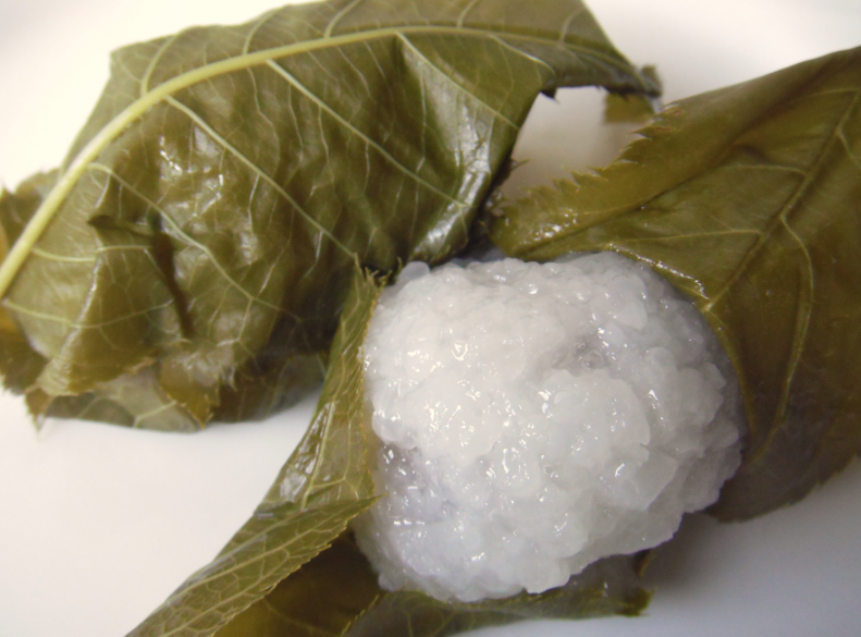 エッ 今年で最後 東京ドームよりも広いお花畑で伊豆の春をご満喫 ゆこたび