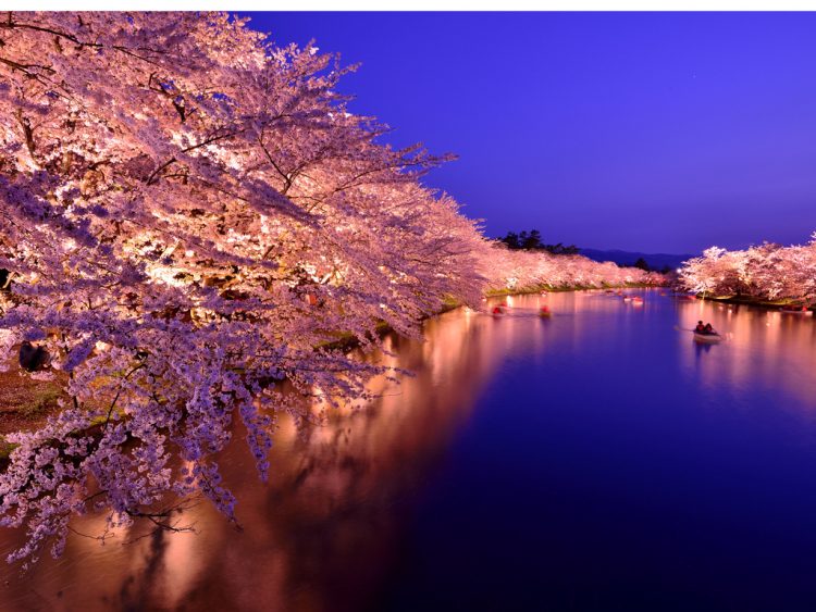 優美な夜桜と癒しの温泉を一緒に楽しもう！温泉地近くの夜桜スポット