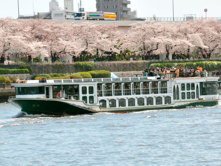 今年の桜見物は「お花見クルーズ」がおすすめ！春色の東京をめぐろう