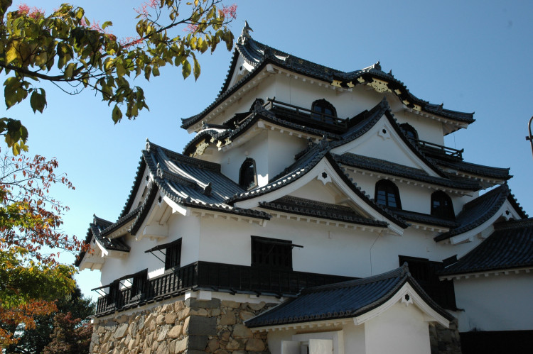 歴史を感じる滋賀県のお城と桜のおすすめスポット ゆこたび