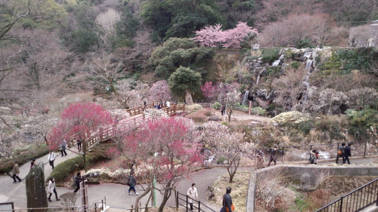 熱海梅園の遠景