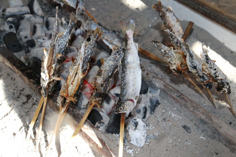 炭火でこんがり焼かれるヤマメ