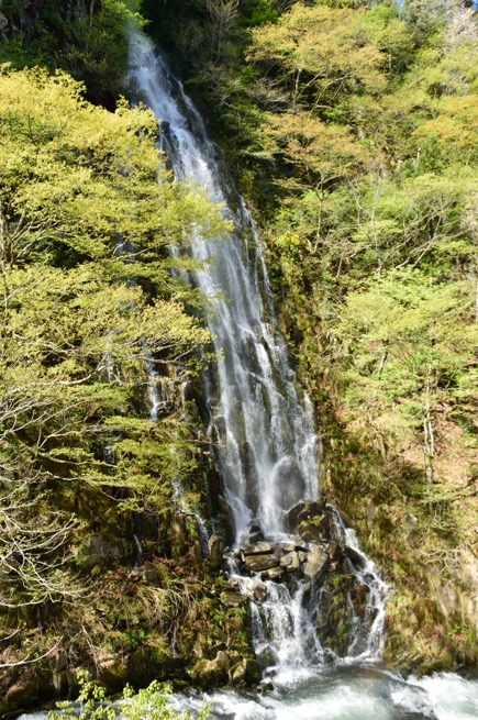 連載 滝ガールの温泉旅ガイド 第2回 木島平村の幻の滝 樽滝 に会いにいく ゆこたび