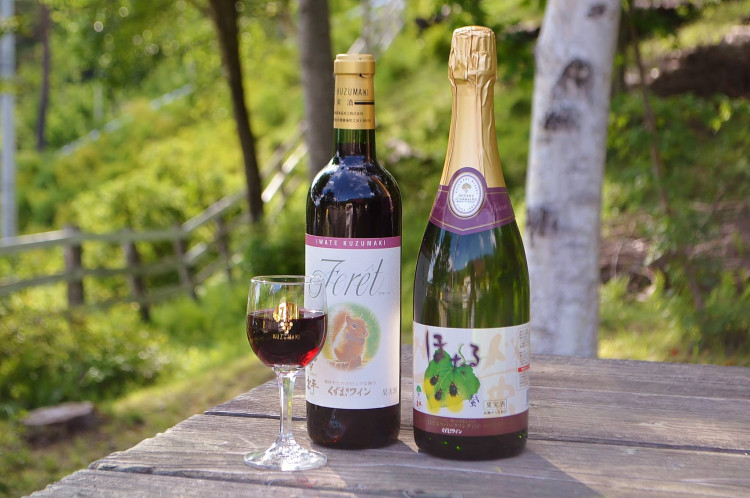 【連載】驚きのクオリティの日本ワインを体験する!「第3回 県産ぶどう100%使用の注目シャトー」(岩手県)
