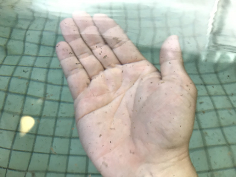 湯の花