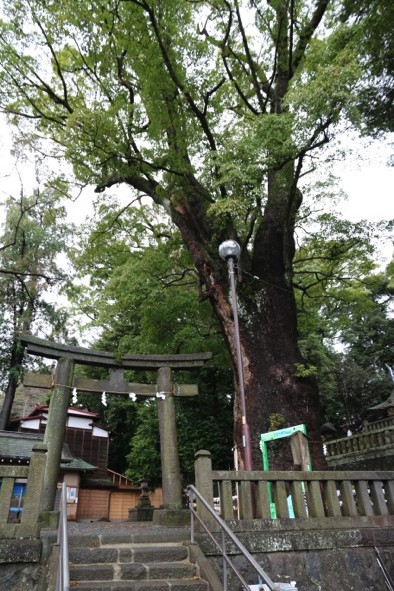 温泉突撃リポート 5 歴史ある湯はnewスポットも盛りだくさん 湯河原の 最新 定番 はこちらから ゆこたび