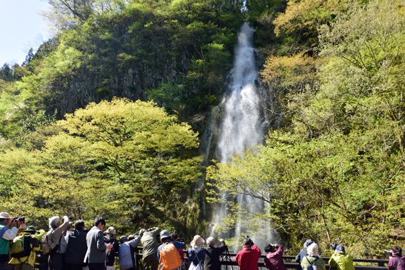 【連載】滝ガールの温泉旅ガイド「第2回 木島平村の幻の滝“樽滝”に会いにいく」