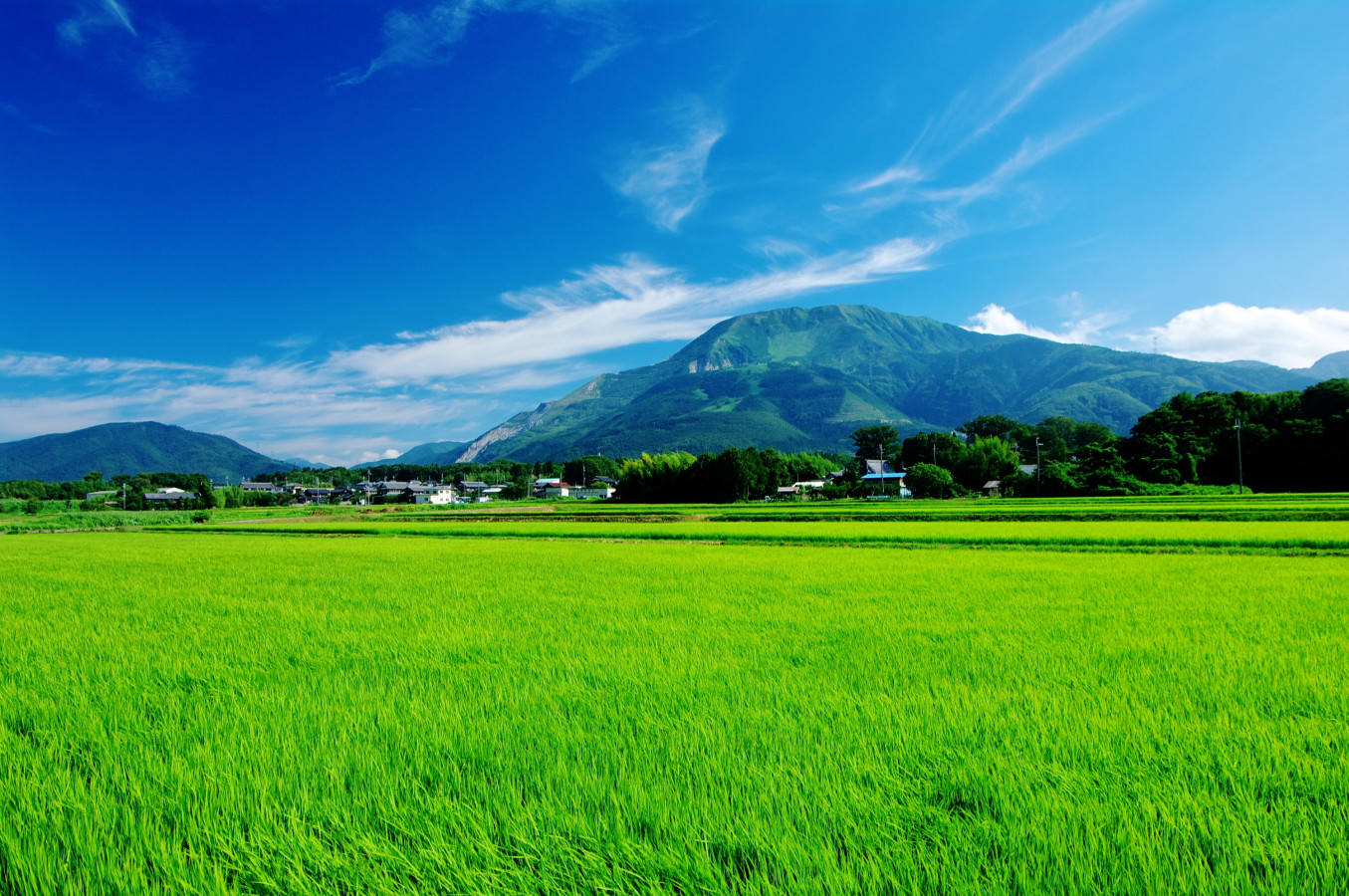 【ご当地ライター】絶景を楽しめる！滋賀県『伊吹山』　グリーンシーズンが到来
