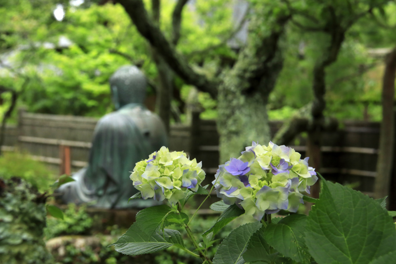 東慶寺