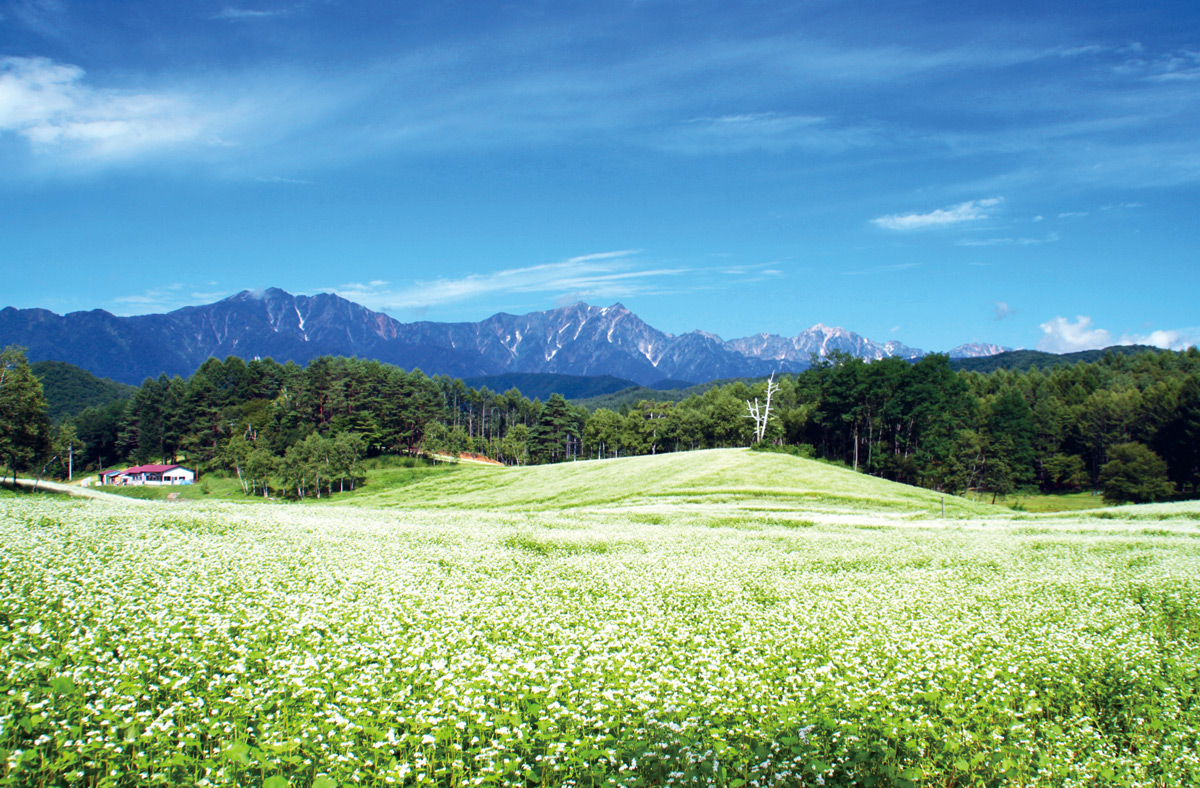 長野県で絶景めぐりコース あなただけのお気に入りショットを 昼編 上信越版 18年8 9月号 ゆこたび