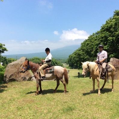 【連載】ニッポンがここちよい、健やかなる旅のススメ 第6回：『どさんこ』とともに創る、癒しの時間『Paard Musée（パド・ミュゼ）』