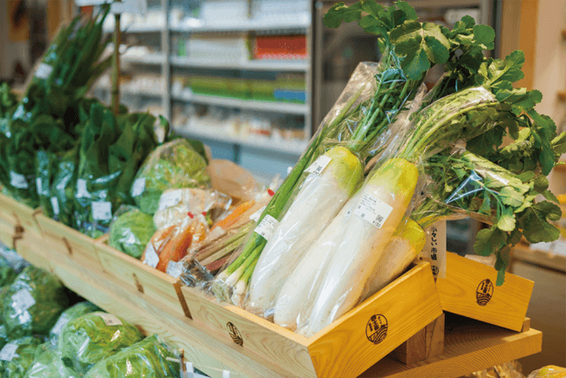 四万十の地元野菜・大根