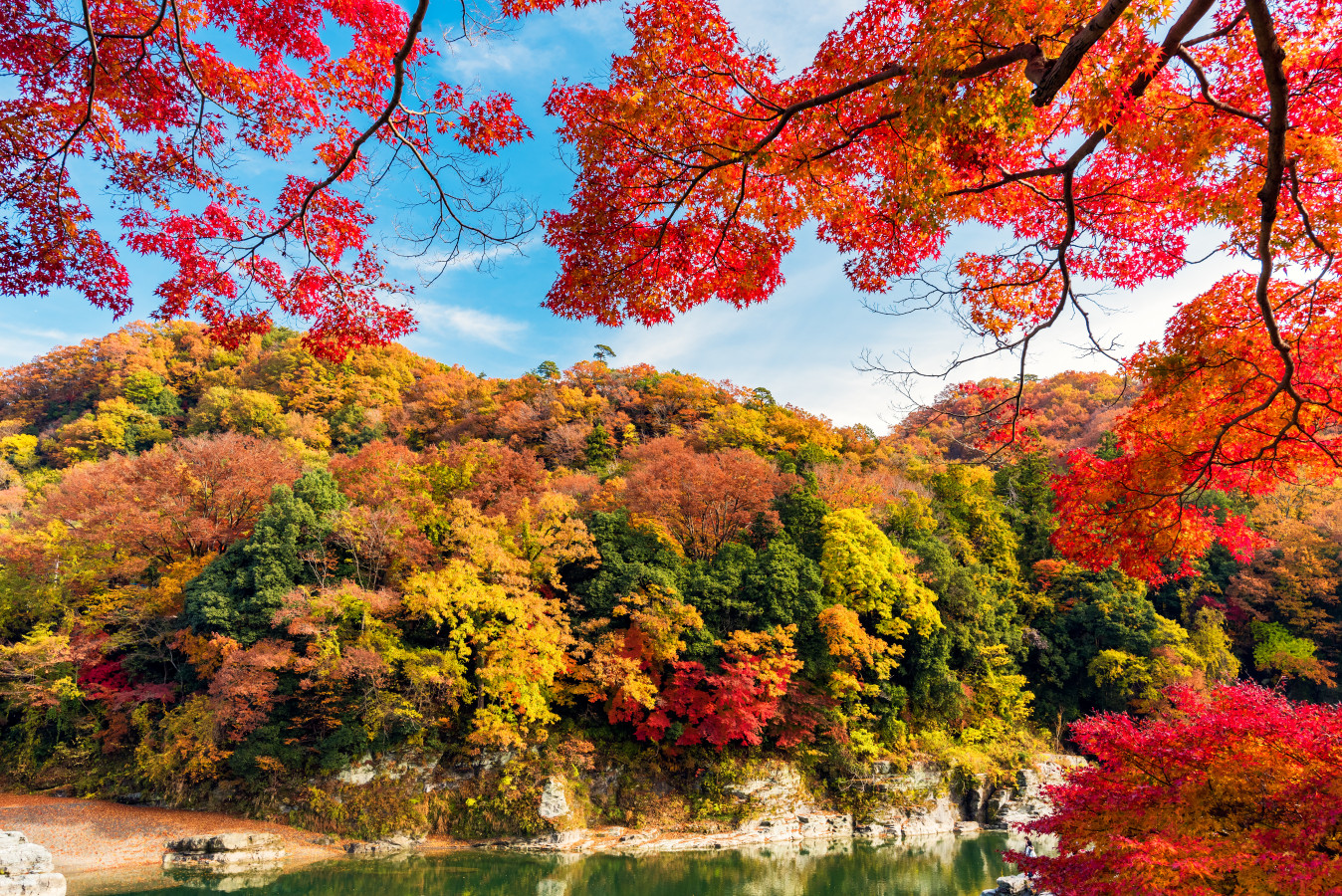 埼玉県新座市より、これからの紅葉シーズン林道に、00年モデルDG08セロー225 柔らかく 売買されたオークション情報 落札价格 【au  payマーケット】の商品情報をアーカイブ公開