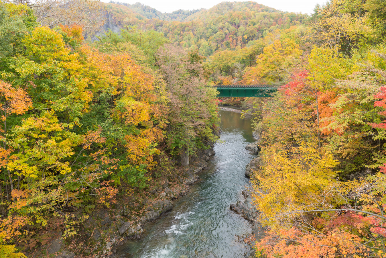 お好みで選べるモデルコース3選！紅葉×旬グルメの旅【北海道版 2018年10・11月号】
