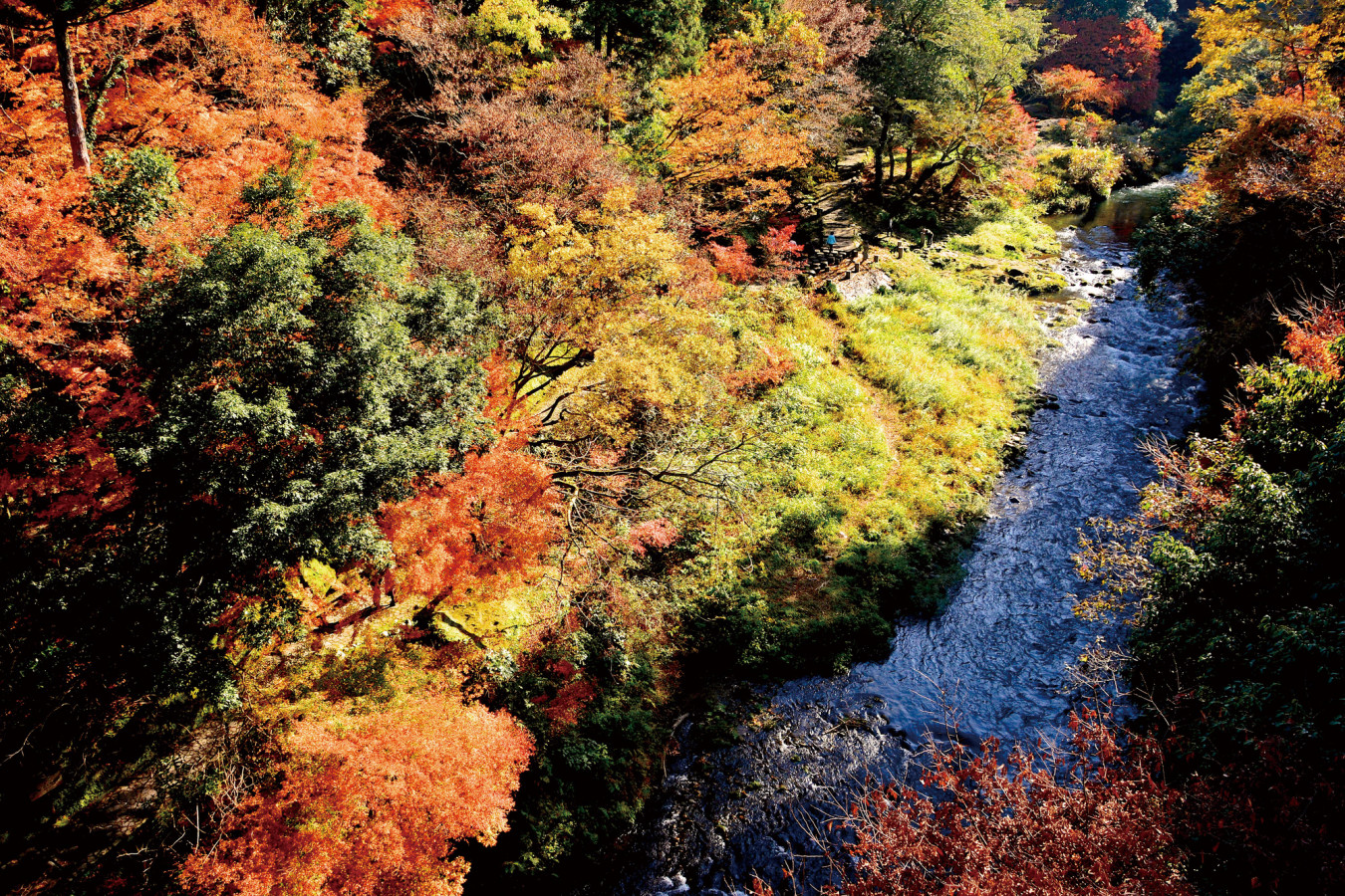 芸術 乗り物 歴史 紅葉と巡るおすすめコース3選 北陸版 18年10 11月号 ゆこたび