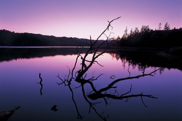 【ご当地ライター】紅葉にもオススメ！森と湖のサンクチュアリ「チミケップ湖」へ