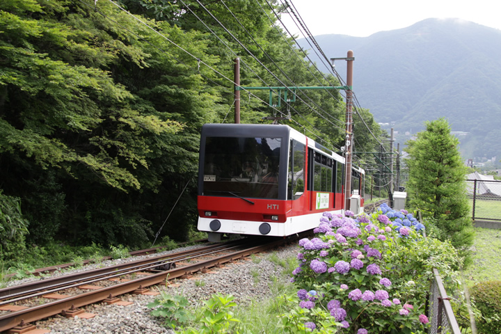 大きな車窓と豊かな自然「箱根登山ケーブルカー」で強羅温泉の移動もらくらく