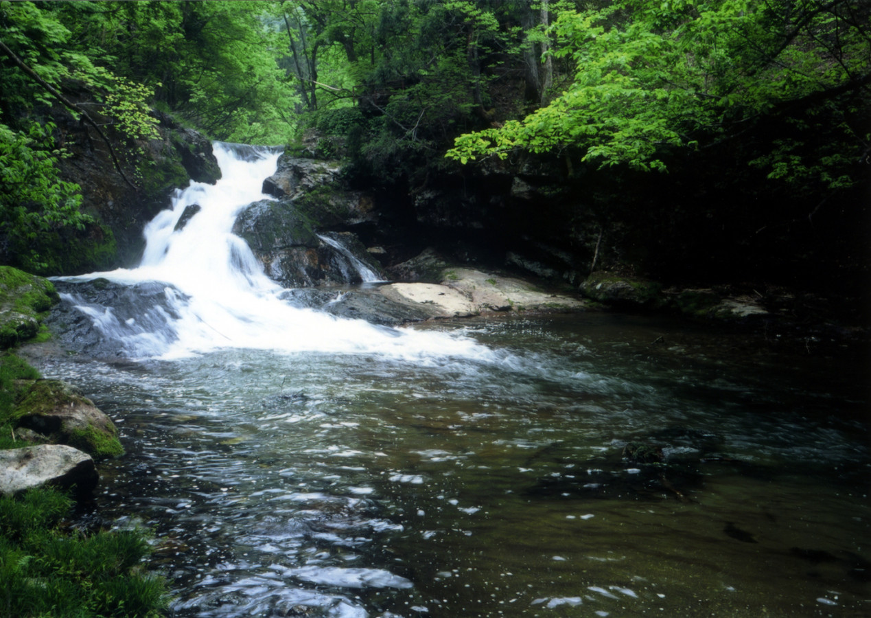 心が洗われるほど美しい銀山温泉「洗心峡」　おすすめは新緑や紅葉の時期