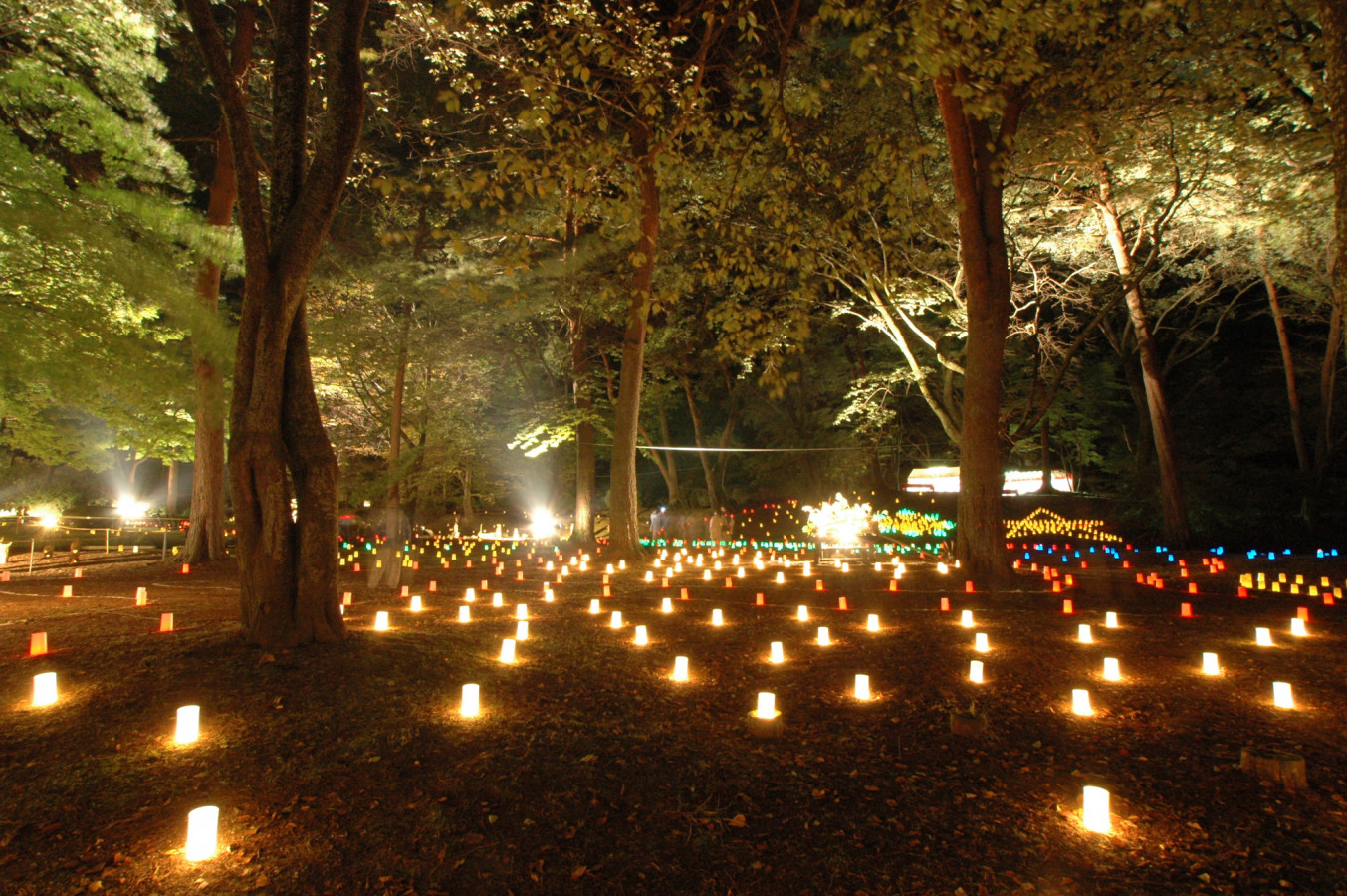 秋の日光 鬼怒川イベント情報 あかりイベント そば祭など ゆこたび