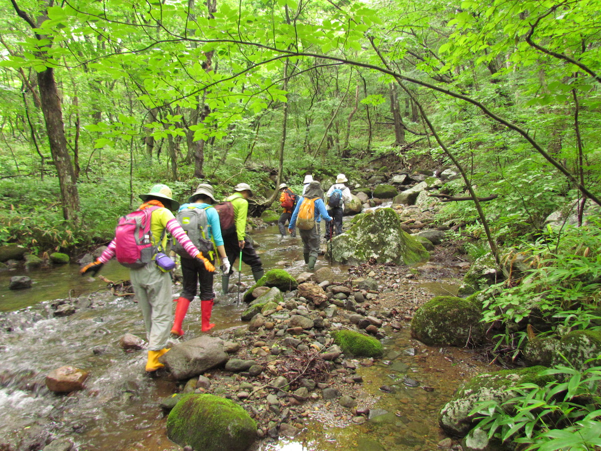 那須平成の森 で那須高原の自然に癒やされる ゆこたび