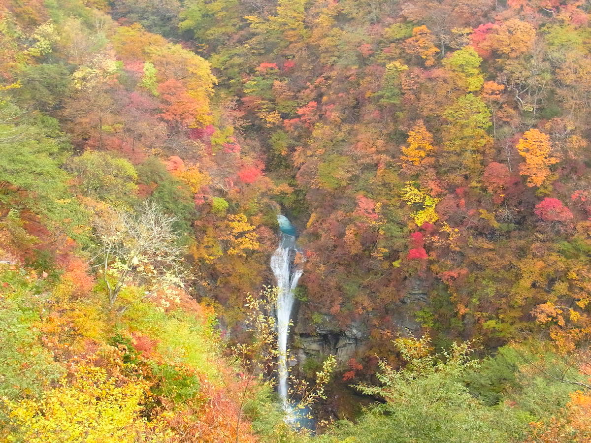 那須 平成 の 森