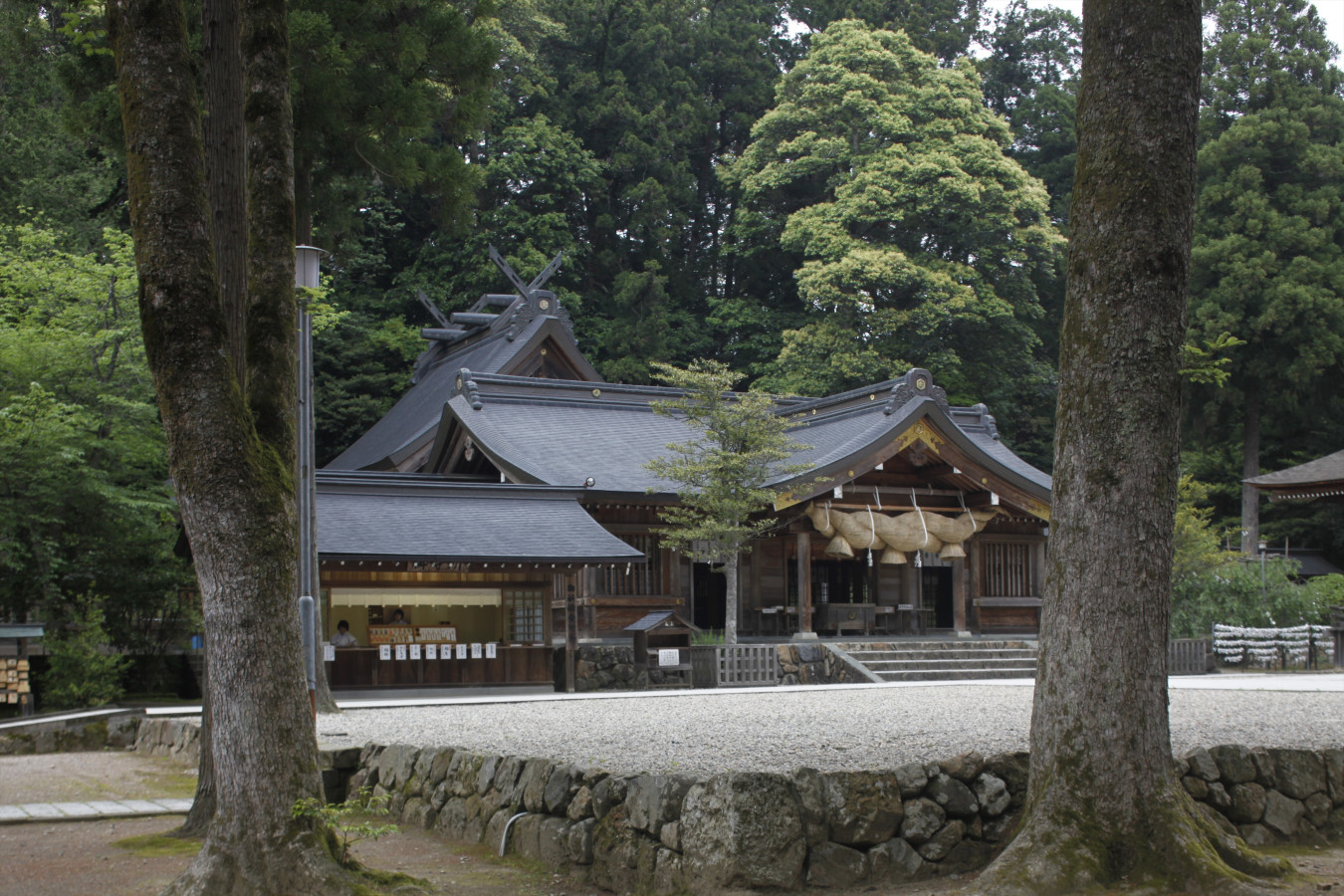 島根の指定文化財「熊野大社」は愛に溢れる神社 | ゆこたび
