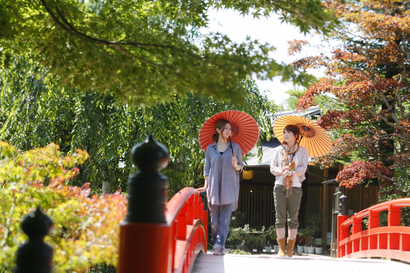 年間来場30万人 四季の花を楽しめる回遊式庭園 由志園 ゆこたび