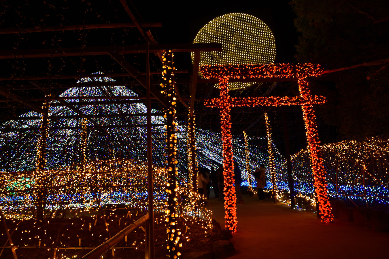 年間来場30万人 四季の花を楽しめる回遊式庭園 由志園 ゆこたび