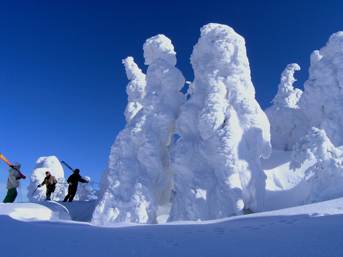 大迫力の雪と氷の世界を体感 森吉山阿仁スキー場 で樹氷鑑賞 ゆこたび