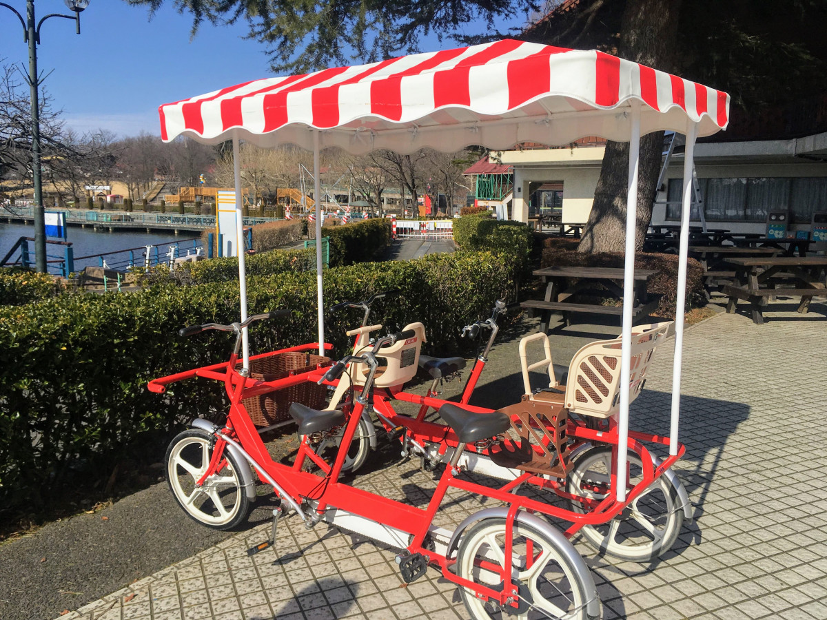 りんどう湖 4人乗り自転車