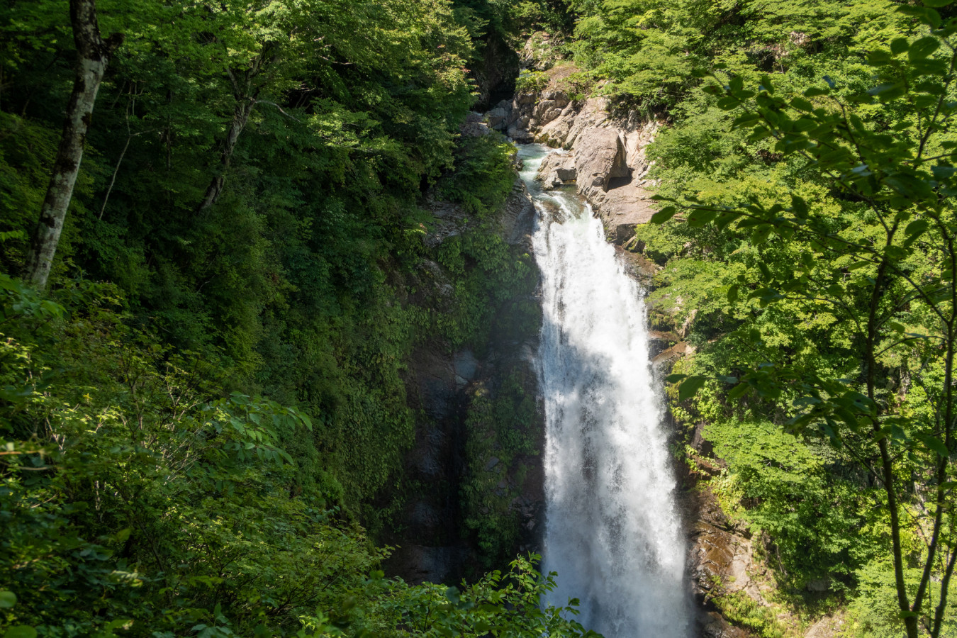 国指定名勝・秋保大滝で水の音に癒やされよう