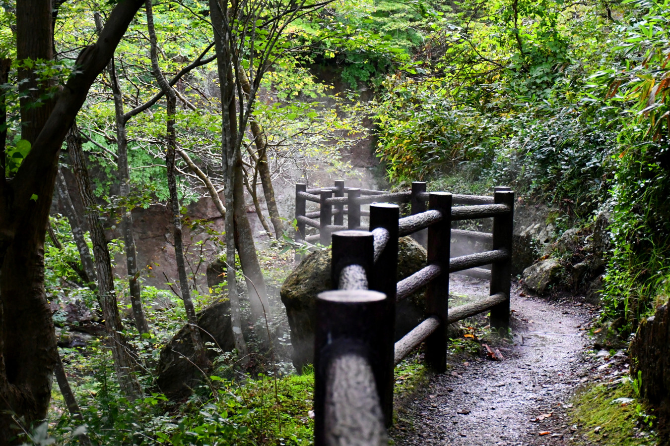 秋保温泉からすぐ 奇観が魅力の景勝地 磊々峡 ゆこたび