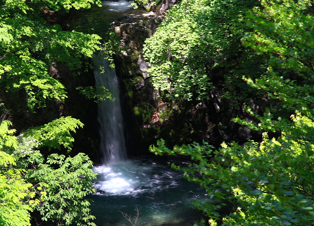 四万の滝めぐりに不可欠！温泉街にも近い楓仙峡「小泉の滝」