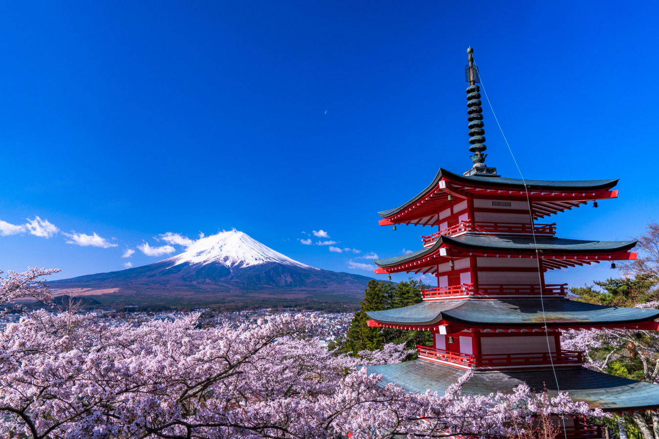 富士山と桜と五重塔 - 美術品